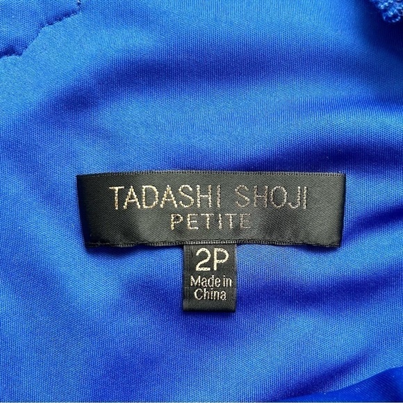 Tadashi Shoji Embroidered Lace Cocktail Sheath Dress in Royal Blue Black Size 2P - Picture 9 of 11